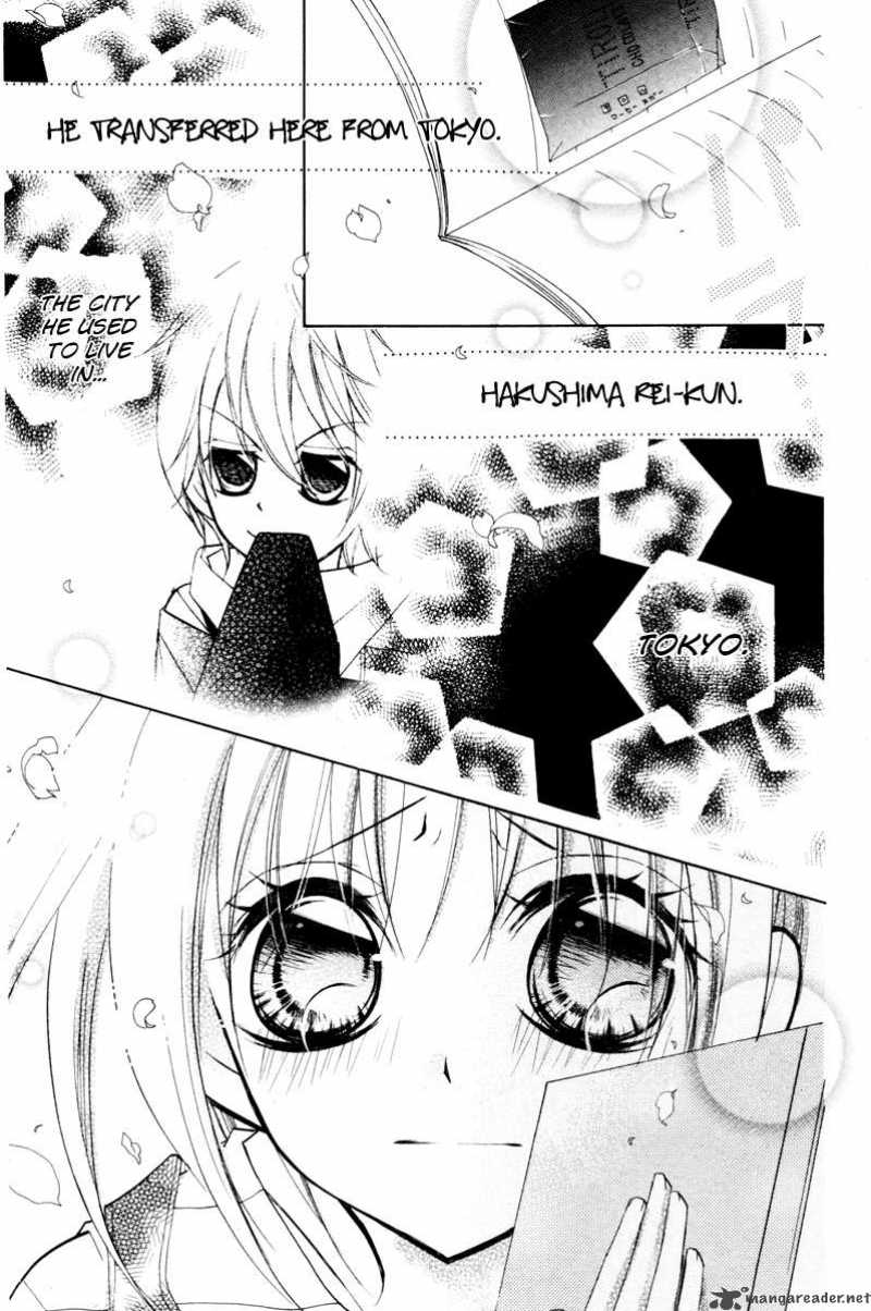 chocolate_2_28
