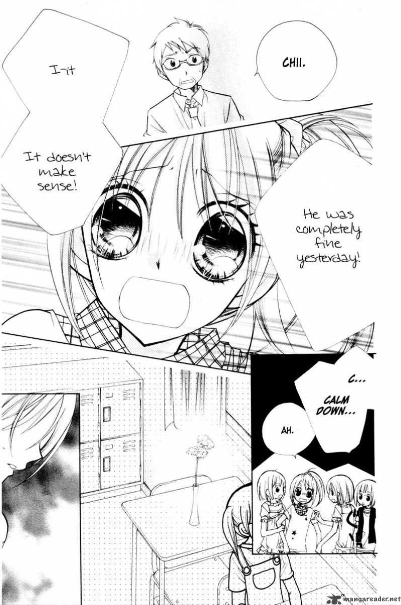 chocolate_2_4