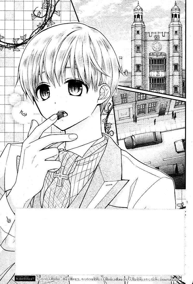 chocolate_vampire_20_2