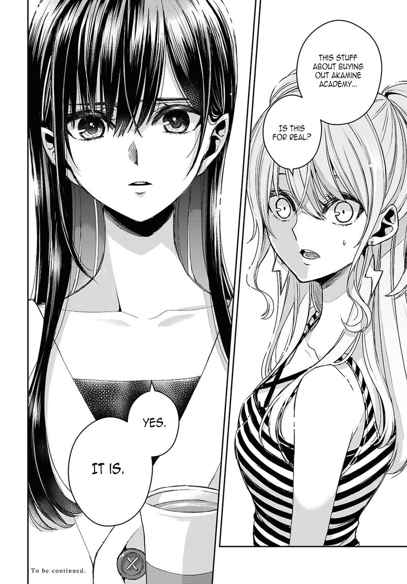 citrus_plus_36_26