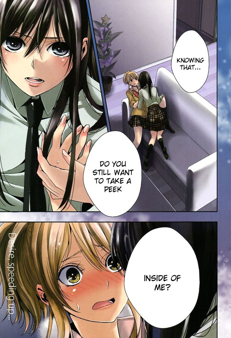 citrus_saburouta_13_1