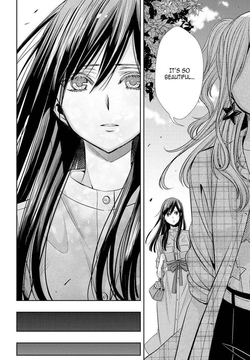 citrus_saburouta_35_30