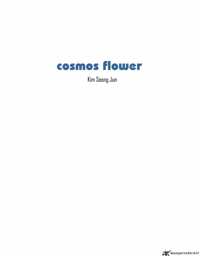 cosmos_flower_1_7