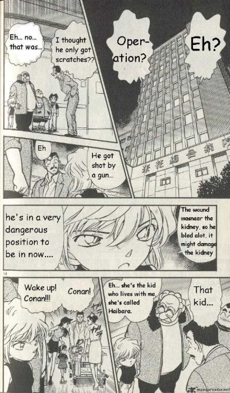 detective_conan_253_14