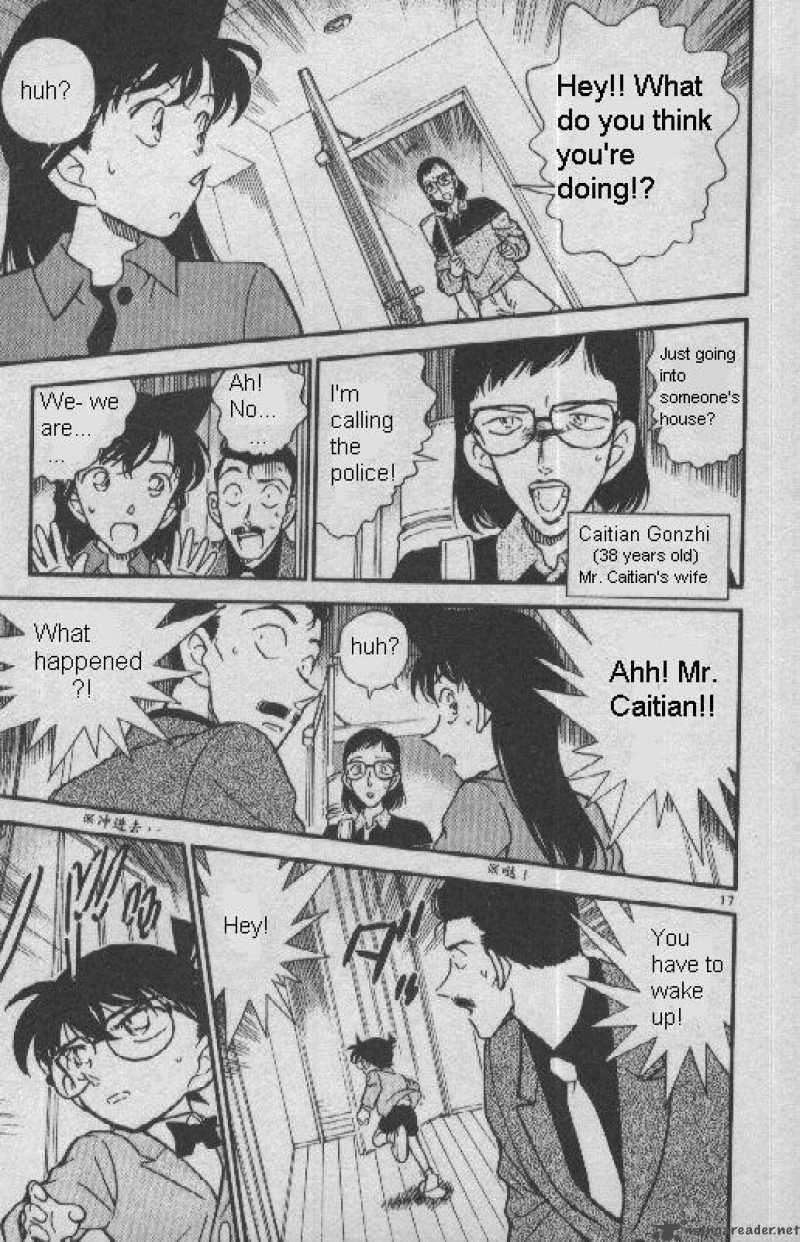 Read Detective Conan Chapter 276 A Person that Lies - Page 17 For Free In The Highest Quality