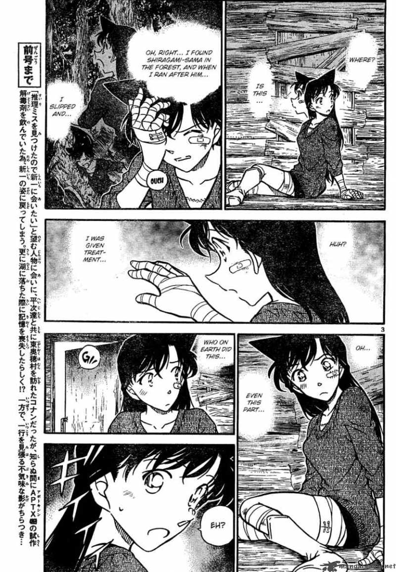 Read Detective Conan Chapter 650 Endless Tears - Page 3 For Free In The Highest Quality