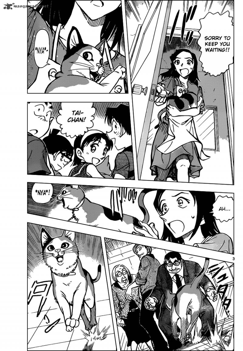 Read Detective Conan Chapter 866 The Cat Hiding Its Claws - Page 3 For Free In The Highest Quality