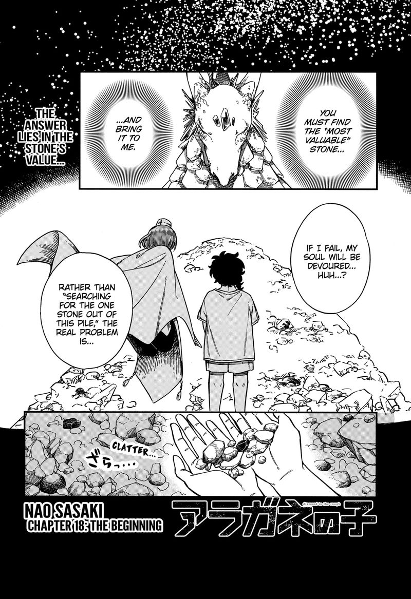 diamond_in_the_rough_18_1