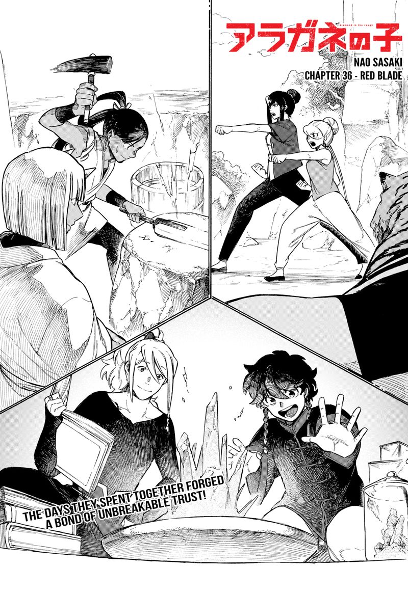 diamond_in_the_rough_36_3