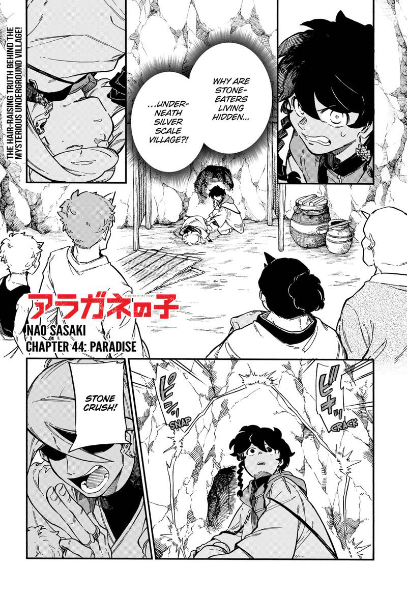 diamond_in_the_rough_44_1