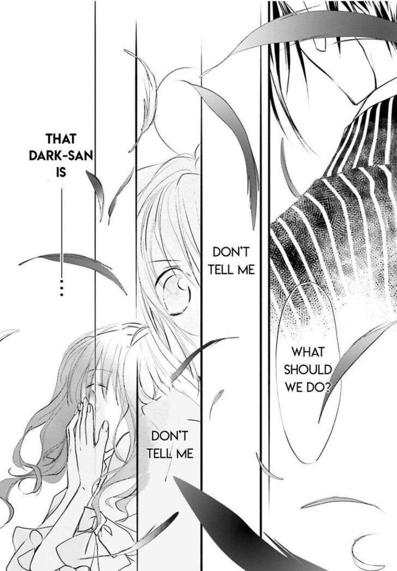 dn_angel_95_17