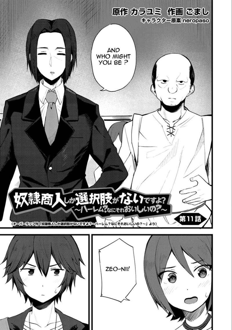 dorei_shounin_shika_sentakushi_ga_nai_desu_yo_harem_nani_sore_oishii_no_11_2