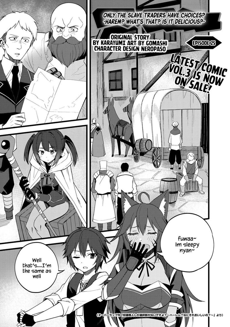 dorei_shounin_shika_sentakushi_ga_nai_desu_yo_harem_nani_sore_oishii_no_25_1