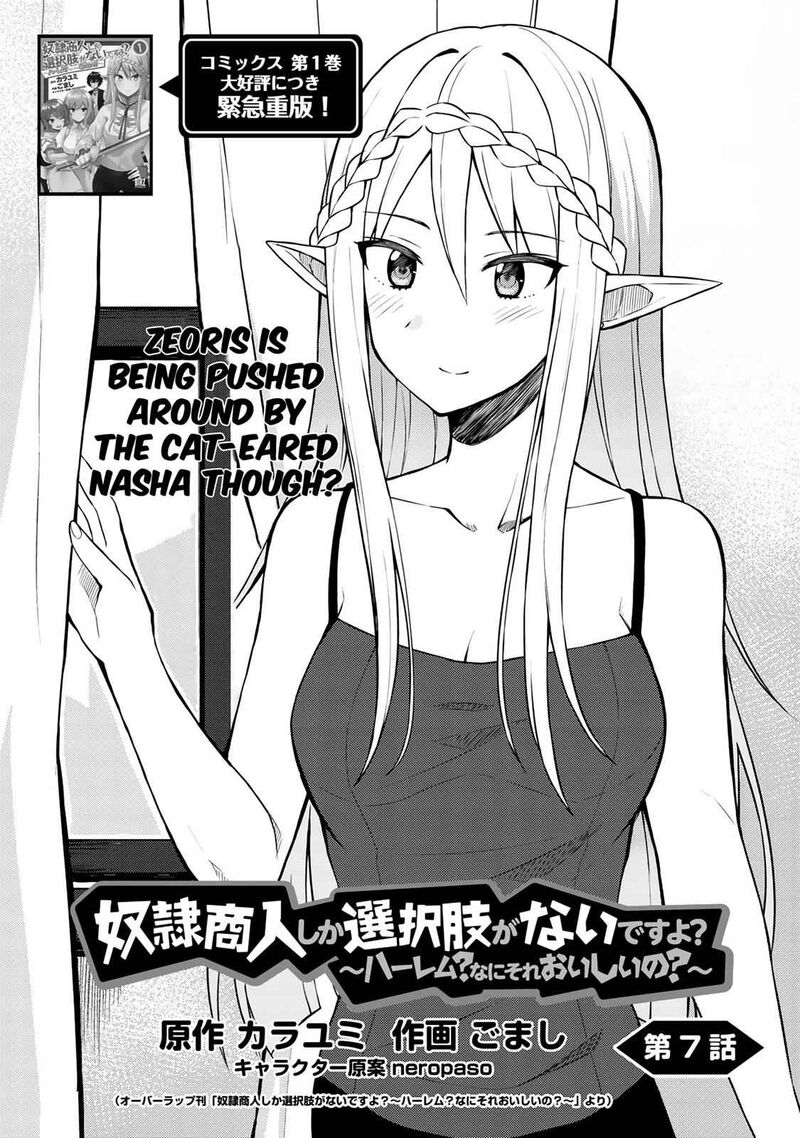 dorei_shounin_shika_sentakushi_ga_nai_desu_yo_harem_nani_sore_oishii_no_7_3