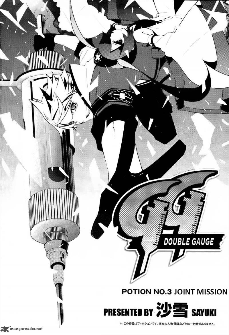 double_gauge_3_23