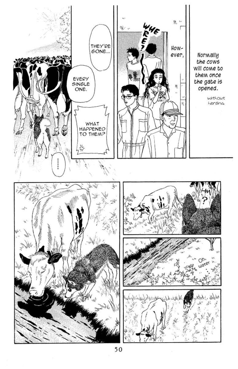 doubutsu_no_oishasan_112_10