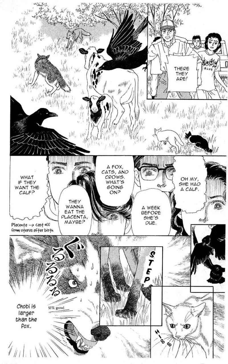 doubutsu_no_oishasan_112_16