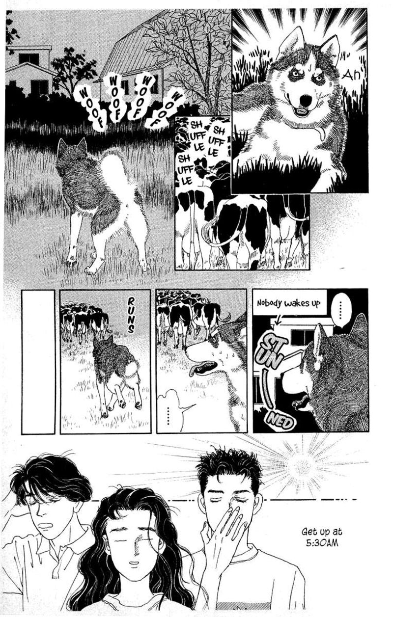 doubutsu_no_oishasan_112_9