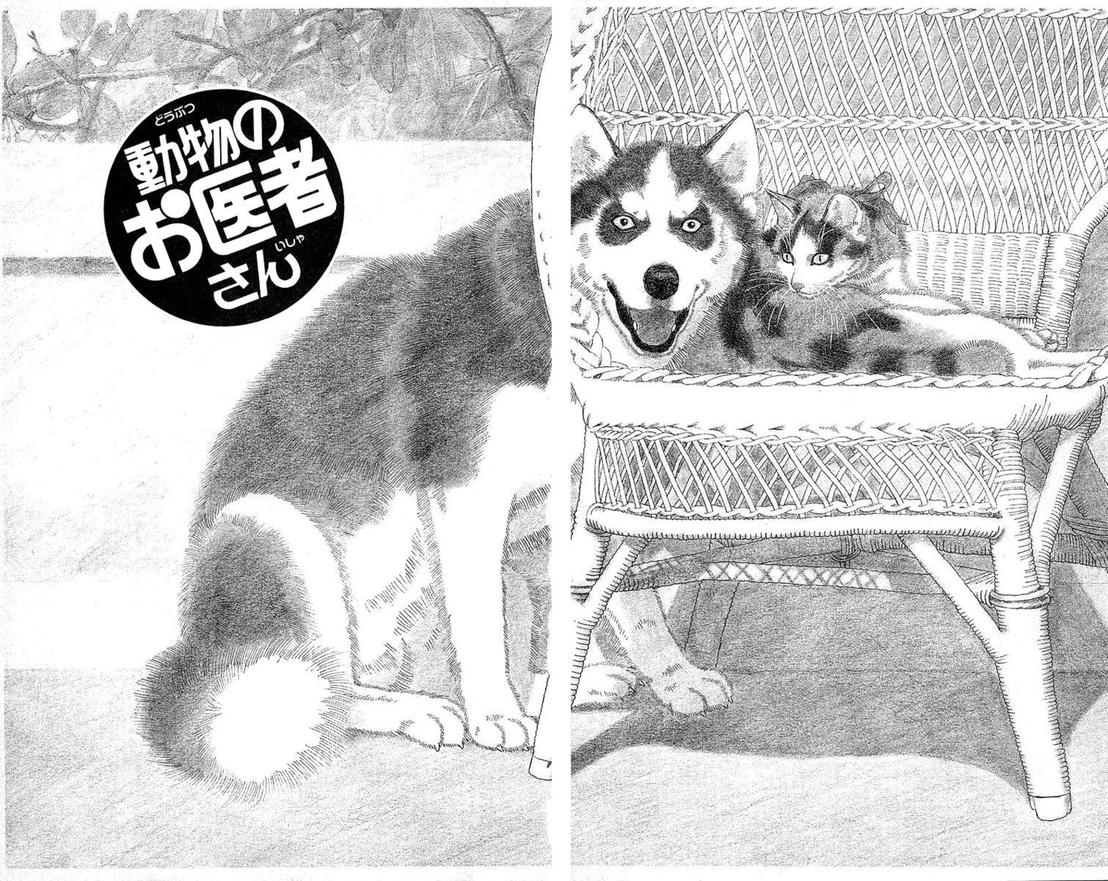 doubutsu_no_oishasan_113_2