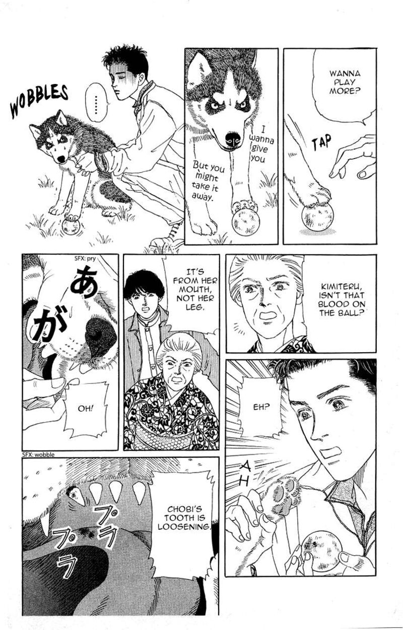doubutsu_no_oishasan_115_10