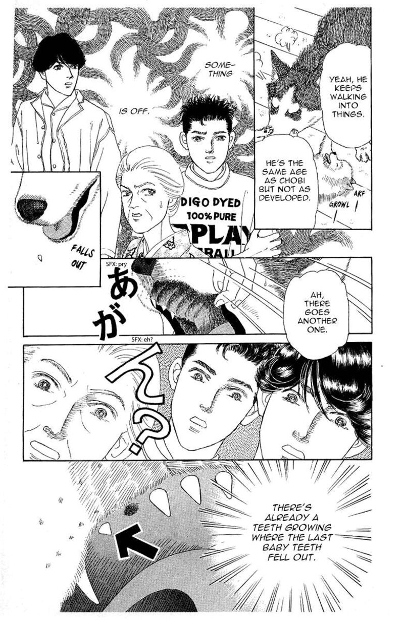 doubutsu_no_oishasan_115_13