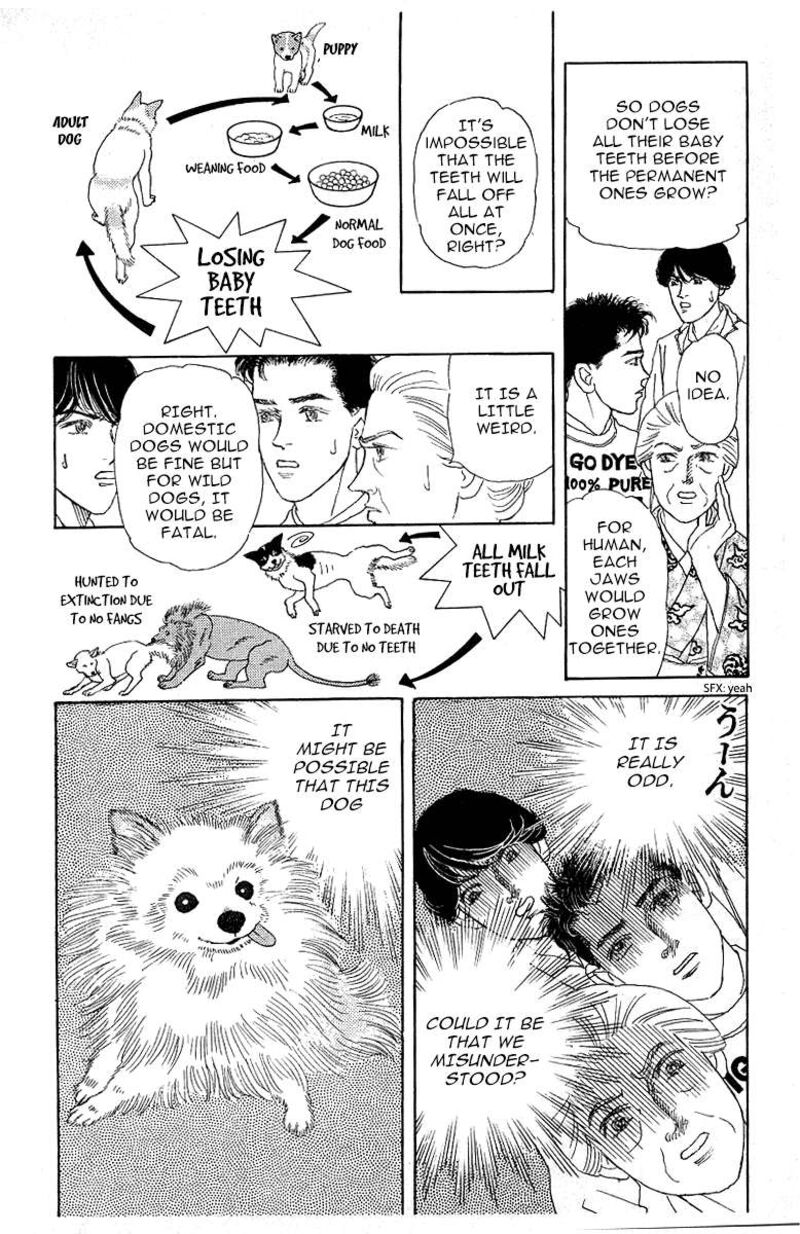 doubutsu_no_oishasan_115_14