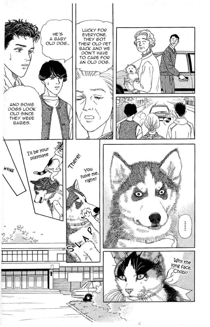 doubutsu_no_oishasan_115_17