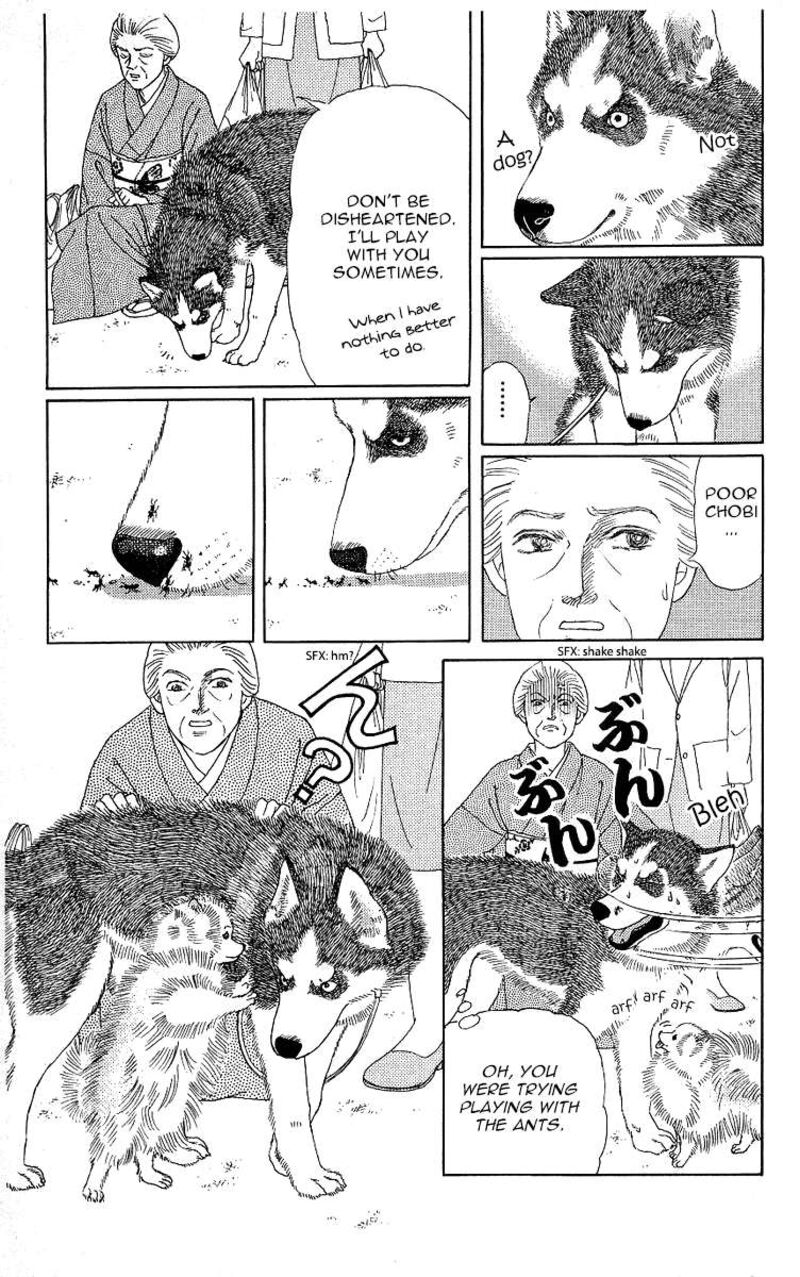 doubutsu_no_oishasan_115_5