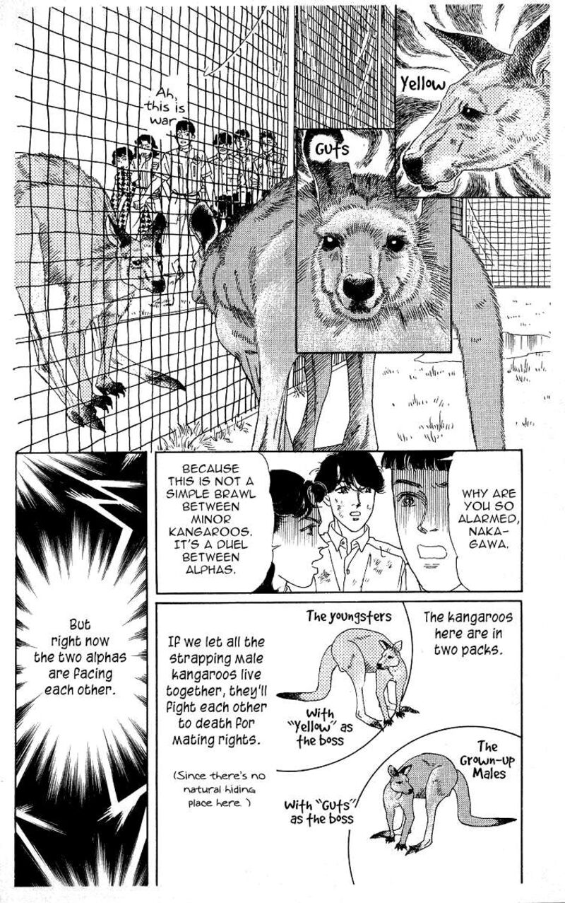 doubutsu_no_oishasan_116_14