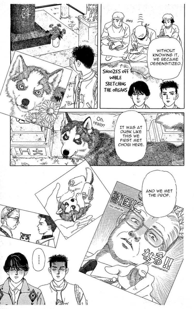 doubutsu_no_oishasan_118_7