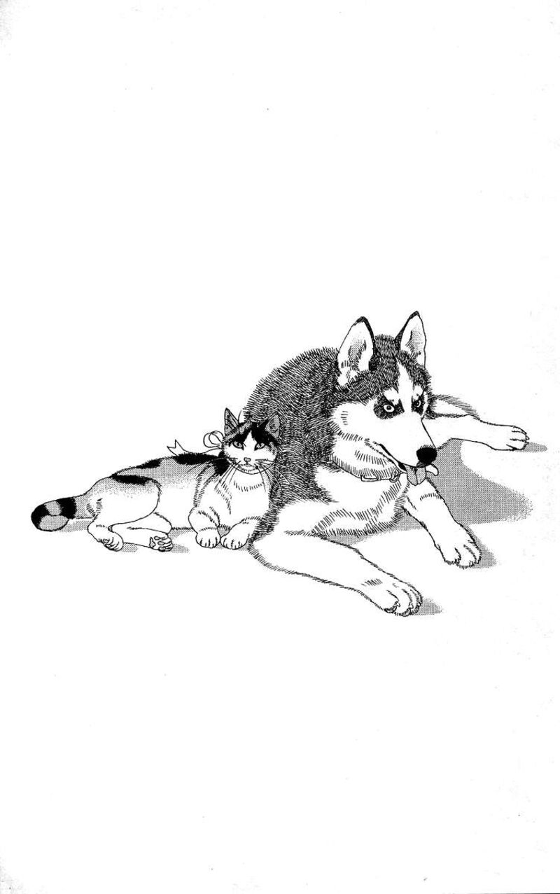 doubutsu_no_oishasan_119_22