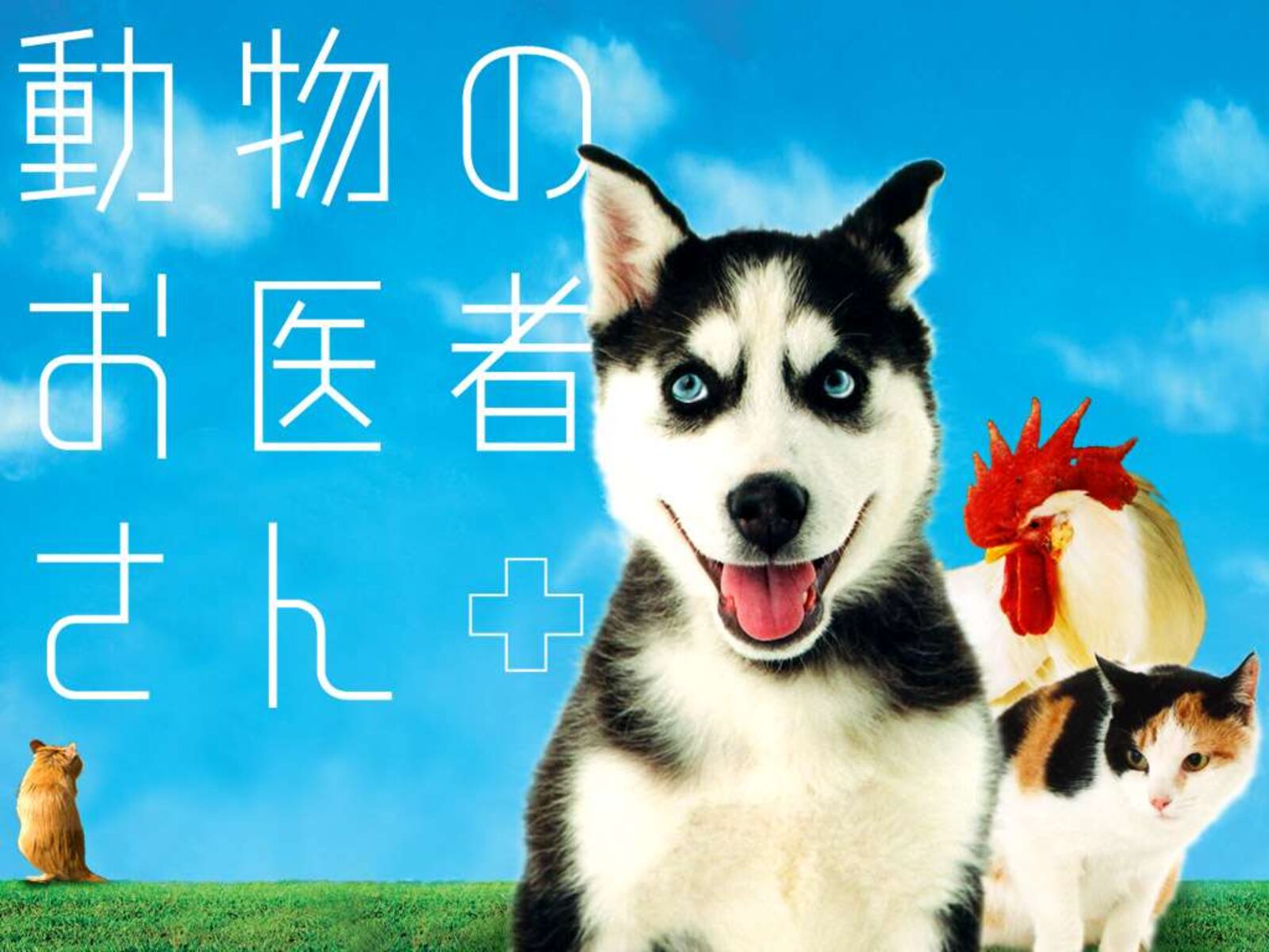 doubutsu_no_oishasan_119_32