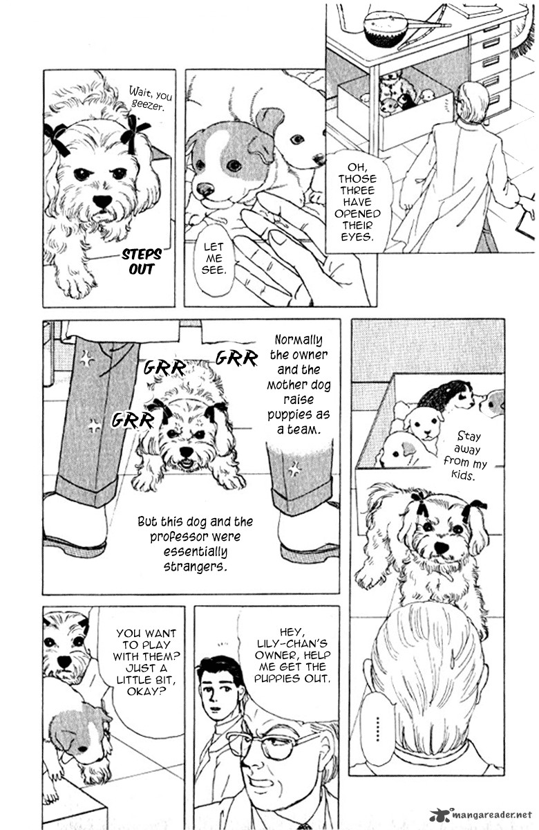 doubutsu_no_oishasan_72_19