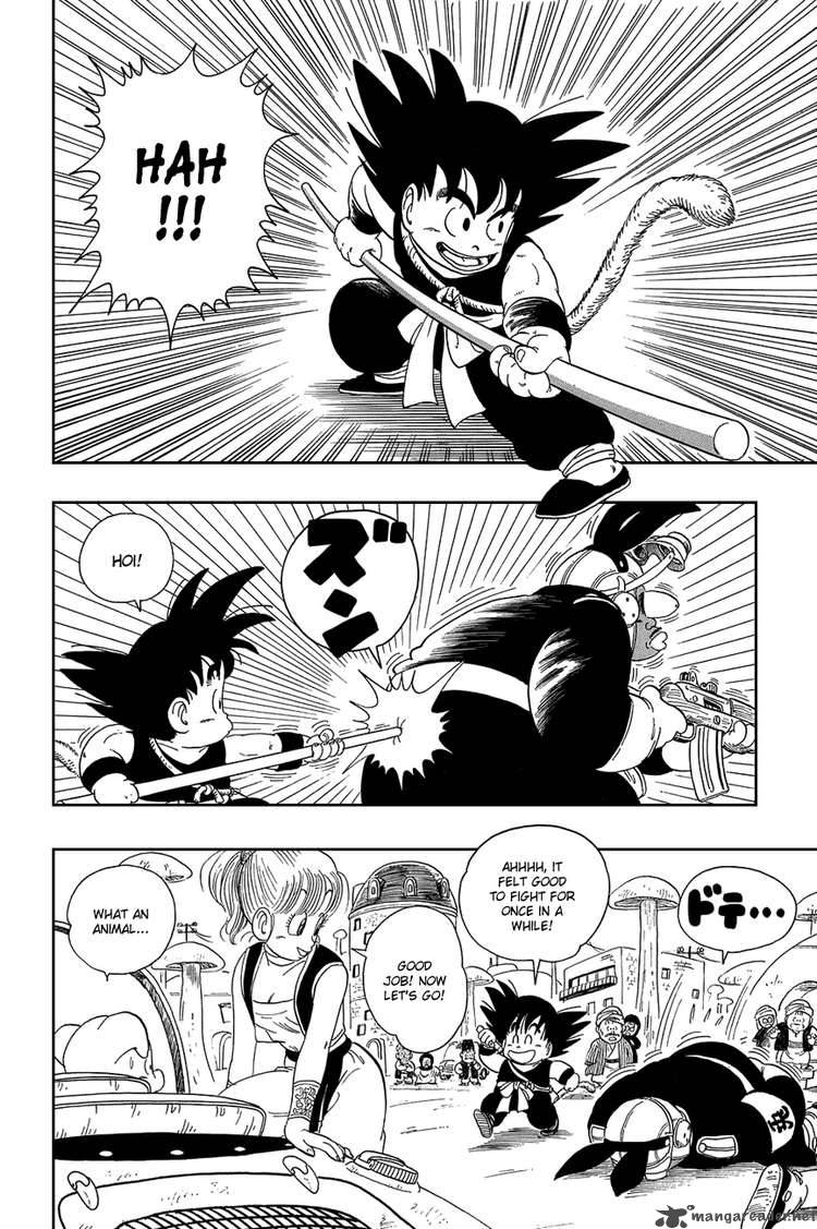 dragon_ball_16_13