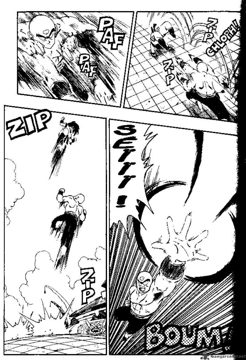 dragon_ball_176_5