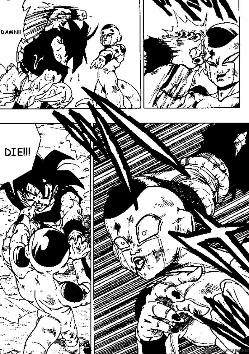 dragon_ball_315_12