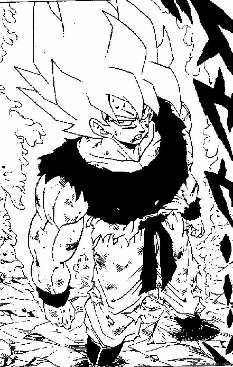 dragon_ball_317_16