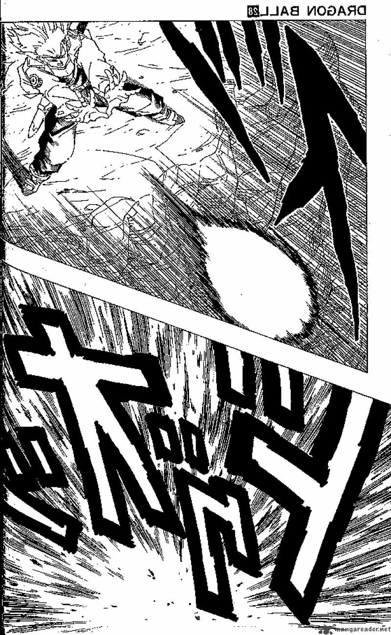 dragon_ball_331_16