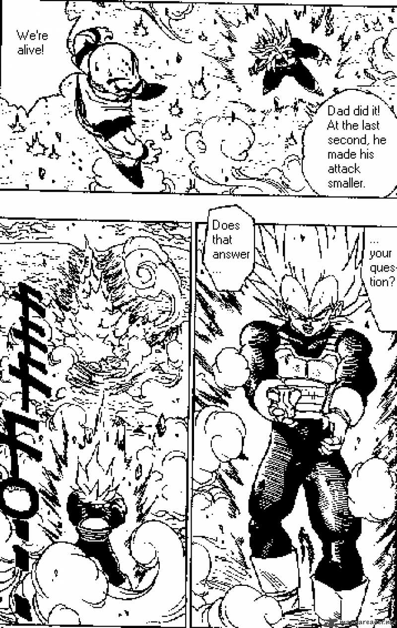 dragon_ball_384_13