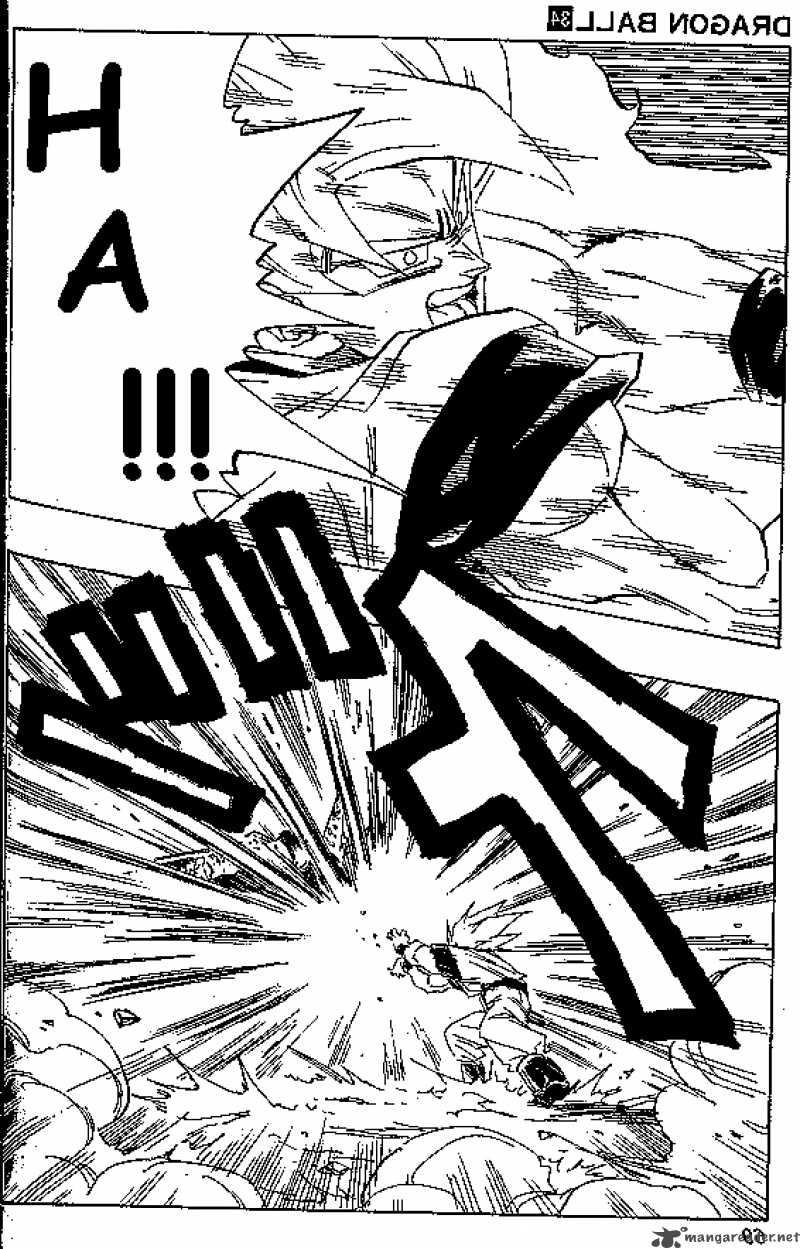 dragon_ball_402_5
