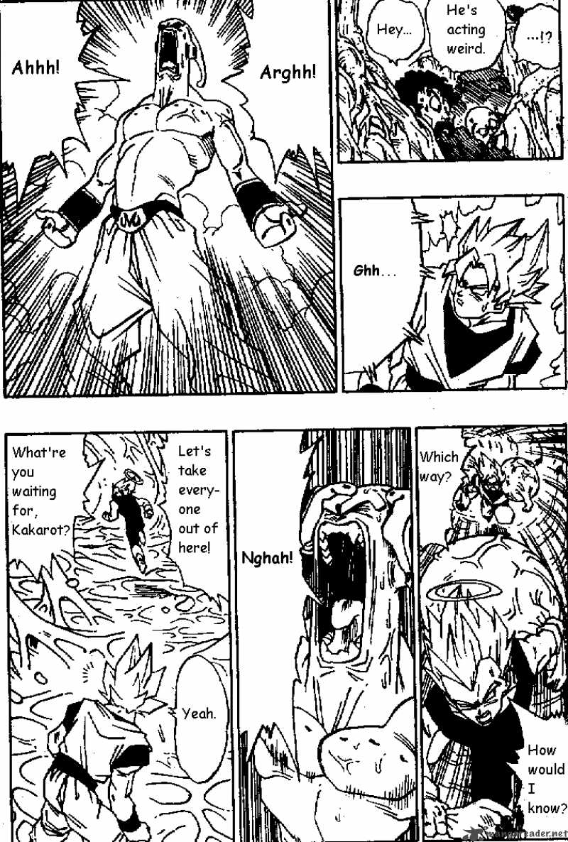 dragon_ball_508_10