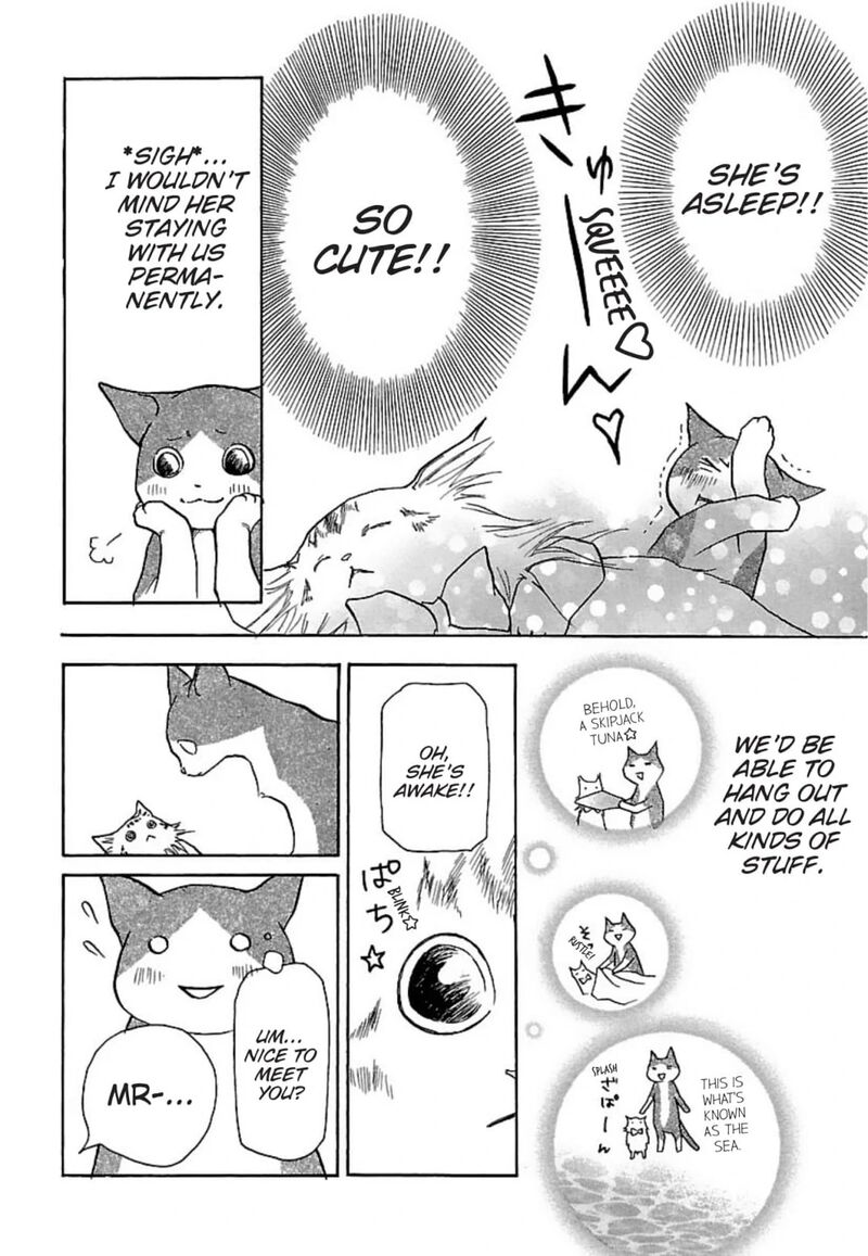 e_no_shima_waikiki_shokudou_22_10