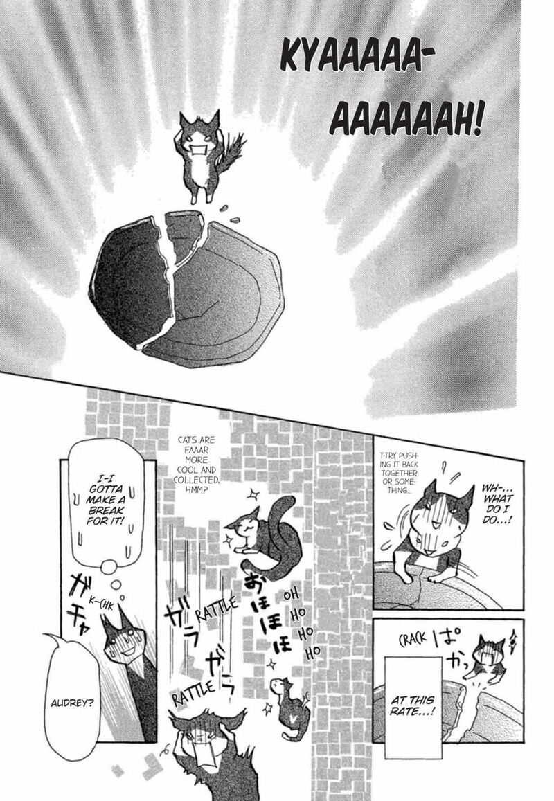 e_no_shima_waikiki_shokudou_5_8