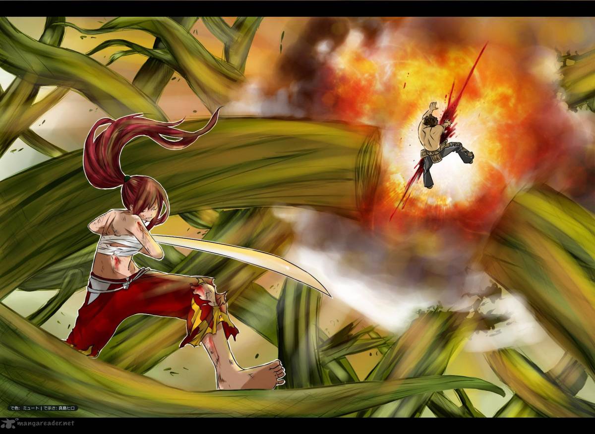 fairy_tail_238_21