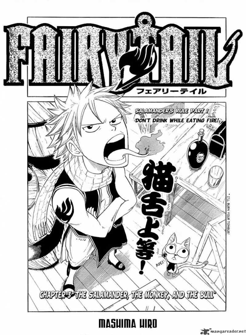 fairy_tail_3_3