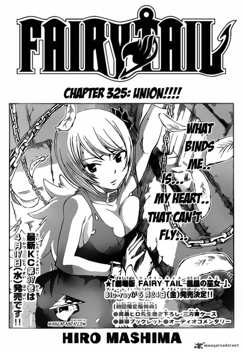 fairy_tail_325_3