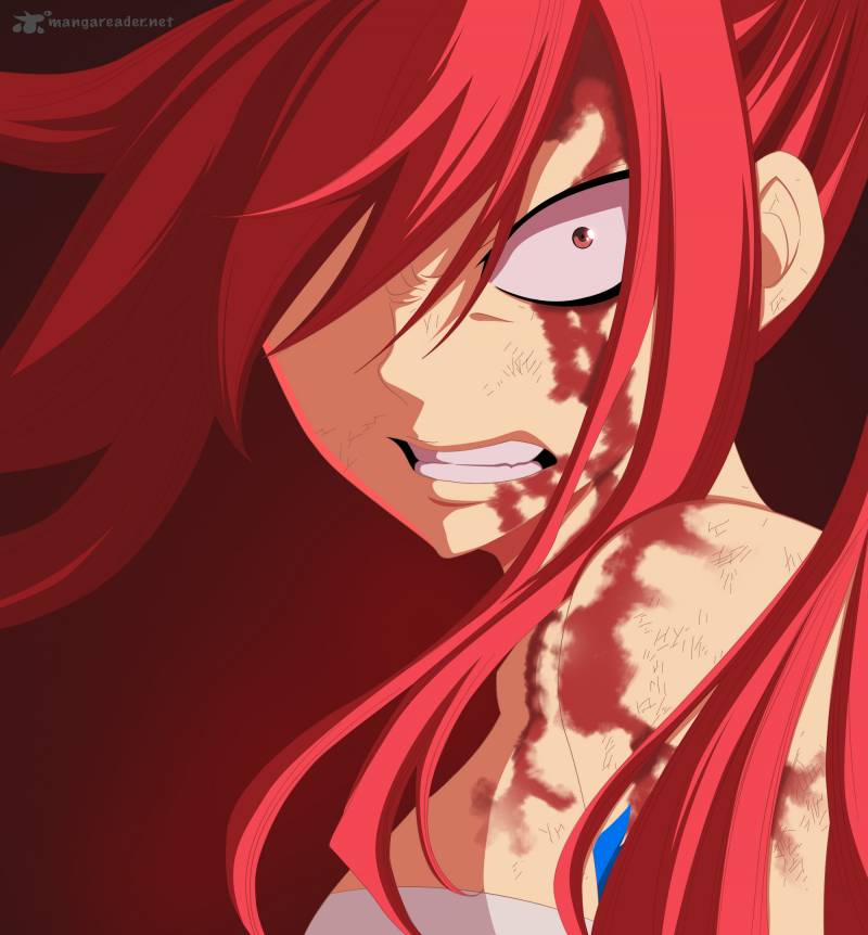 fairy_tail_363_2