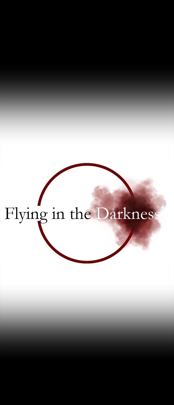 flying_in_the_darkness_5_5