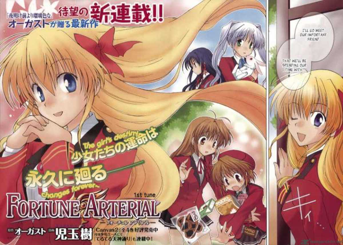 fortune_arterial_1_4