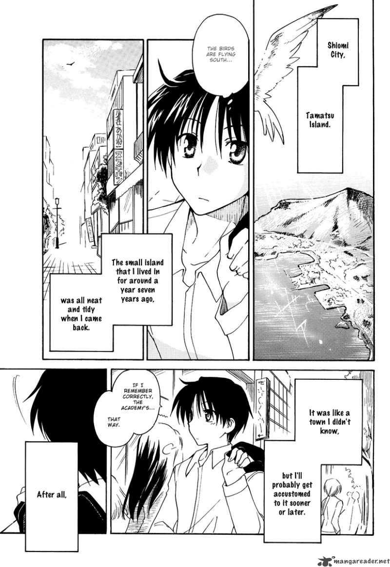 fortune_arterial_1_6
